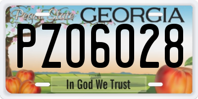 GA license plate PZO6028