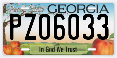 GA license plate PZO6033