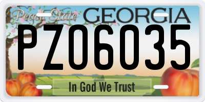 GA license plate PZO6035