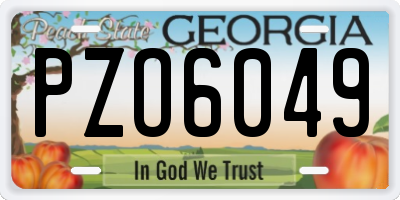 GA license plate PZO6049