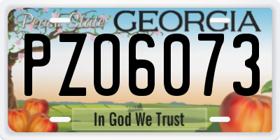 GA license plate PZO6073