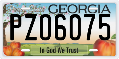 GA license plate PZO6075