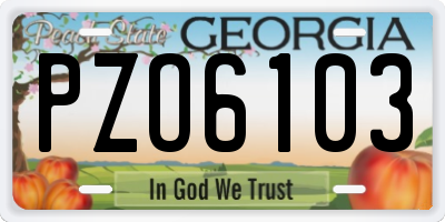 GA license plate PZO6103