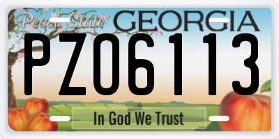 GA license plate PZO6113