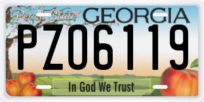 GA license plate PZO6119