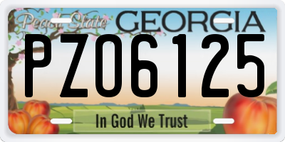 GA license plate PZO6125