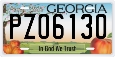 GA license plate PZO6130