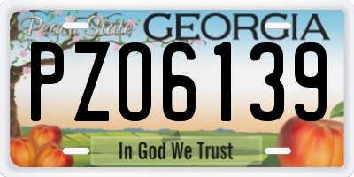 GA license plate PZO6139