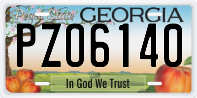 GA license plate PZO6140