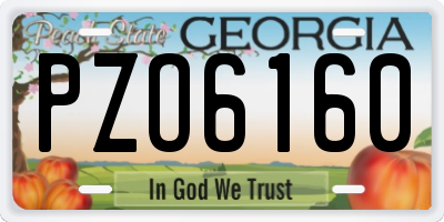 GA license plate PZO6160