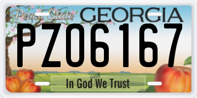 GA license plate PZO6167