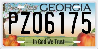 GA license plate PZO6175