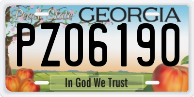 GA license plate PZO6190