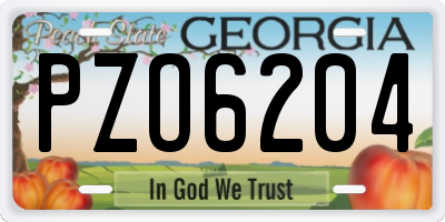 GA license plate PZO6204
