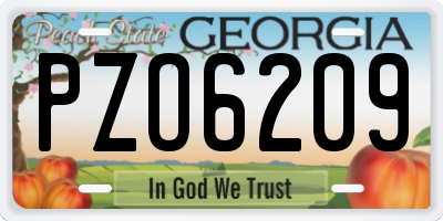 GA license plate PZO6209