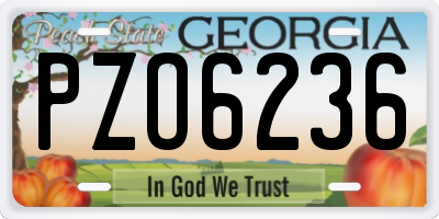GA license plate PZO6236