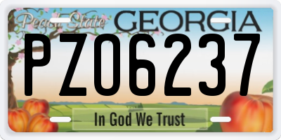 GA license plate PZO6237