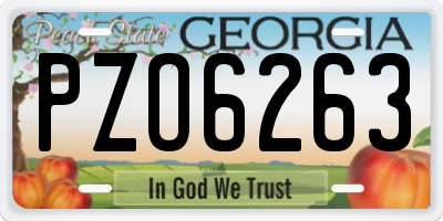 GA license plate PZO6263