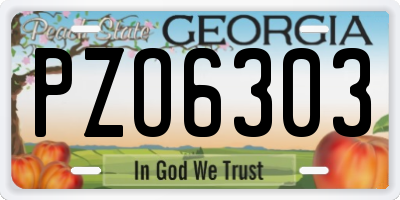 GA license plate PZO6303