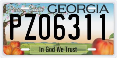 GA license plate PZO6311