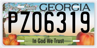 GA license plate PZO6319