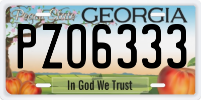 GA license plate PZO6333