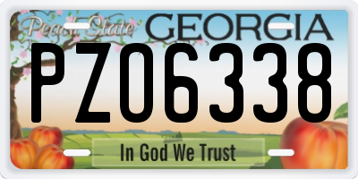 GA license plate PZO6338