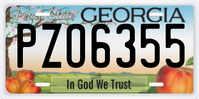 GA license plate PZO6355