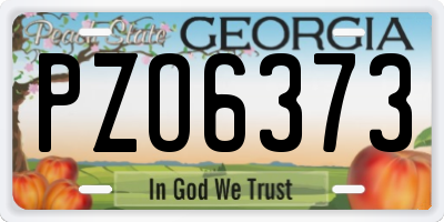 GA license plate PZO6373