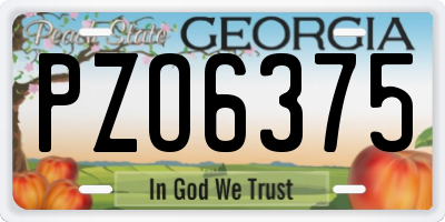 GA license plate PZO6375