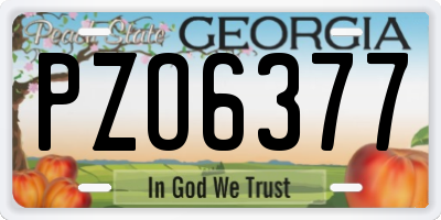 GA license plate PZO6377