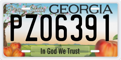 GA license plate PZO6391