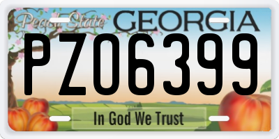 GA license plate PZO6399