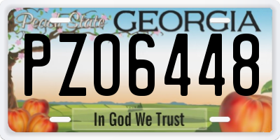 GA license plate PZO6448
