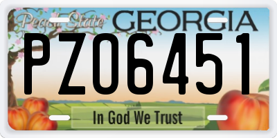 GA license plate PZO6451