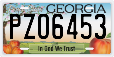 GA license plate PZO6453