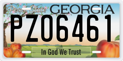 GA license plate PZO6461