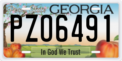 GA license plate PZO6491