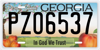 GA license plate PZO6537