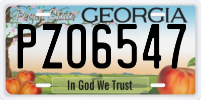 GA license plate PZO6547