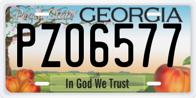 GA license plate PZO6577
