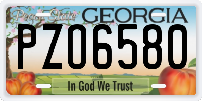 GA license plate PZO6580