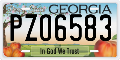 GA license plate PZO6583