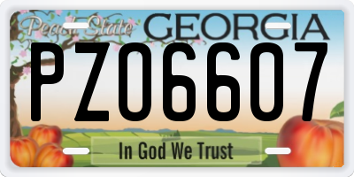 GA license plate PZO6607