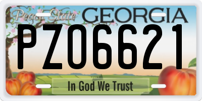 GA license plate PZO6621