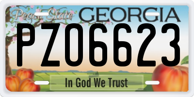 GA license plate PZO6623