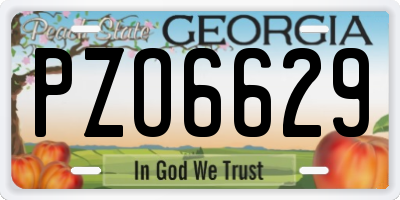 GA license plate PZO6629