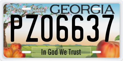 GA license plate PZO6637