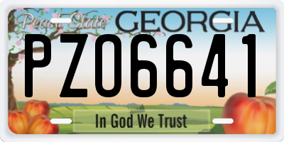 GA license plate PZO6641