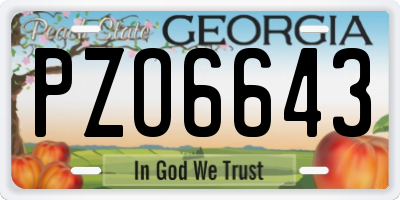 GA license plate PZO6643